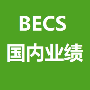 BECS 国内案例